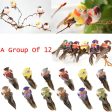 12Pcs Artificial Bird Perched Woodland Fake Feather Birds Garden Decor Claw Online