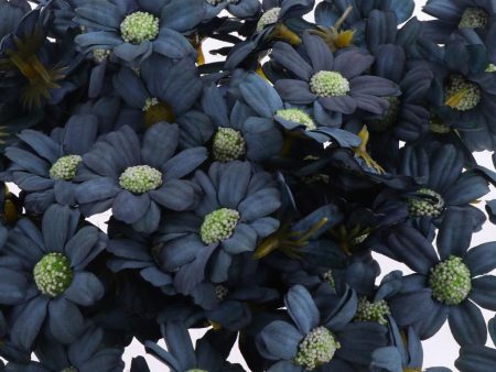 100Pieces Artificial Flower Head Silk Daisy Wedding Decoration Dark Blue For Sale