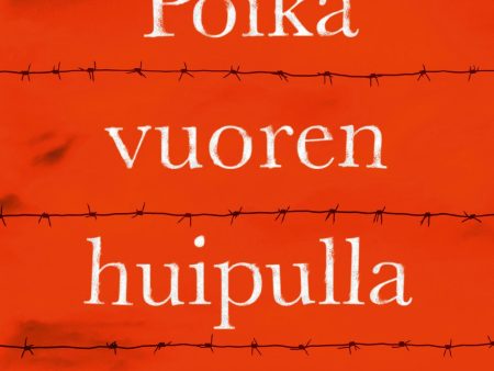 Poika vuoren huipulla For Discount